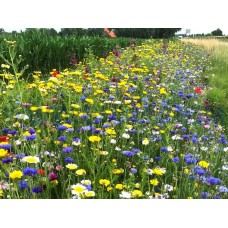 Akkerrand Bloemrijk 2 meerjarig